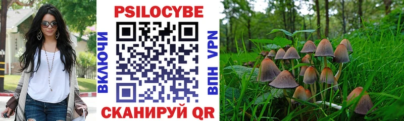 blacksprut tor  Киренск  Галлюциногенные грибы GOLDEN TEACHER 